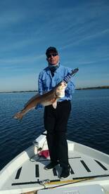 St. Bernard Report Photo 2