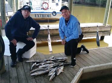 St. Bernard Report Photo 1