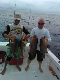 5 sailfish today to 12 miles