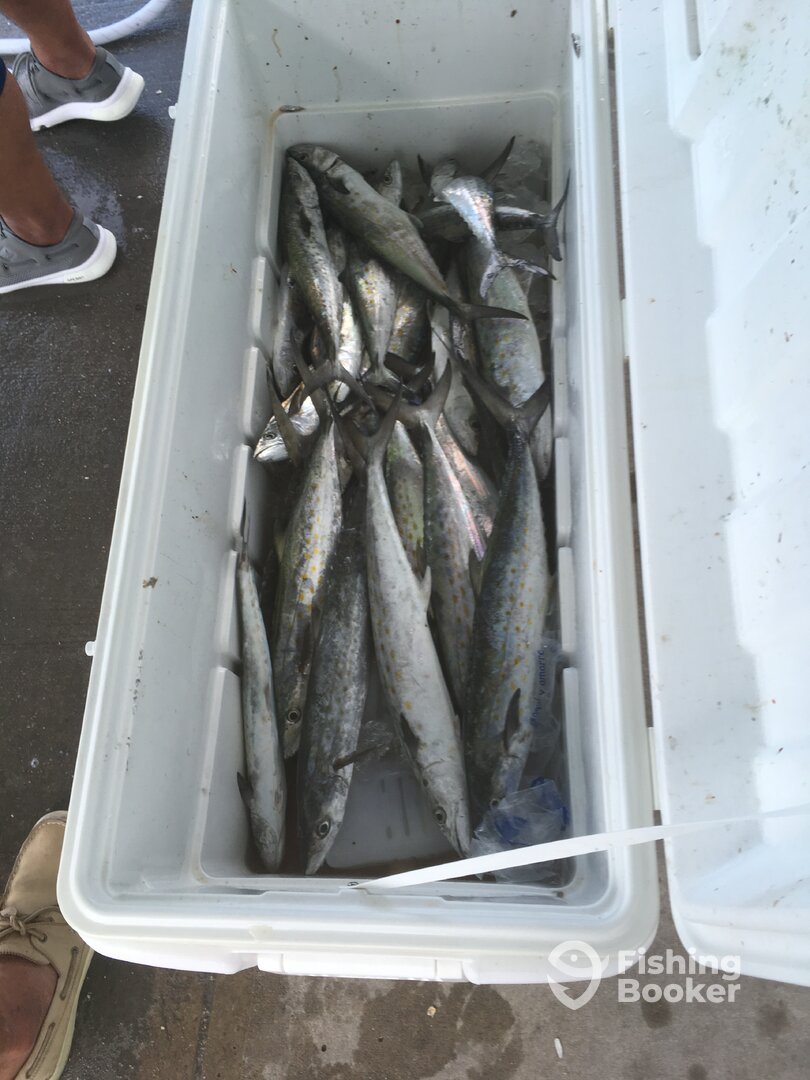 Redington Shores Report Photo 0