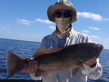 Tampa Report Photo 1