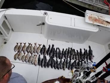 Point Pleasant Report Photo 2