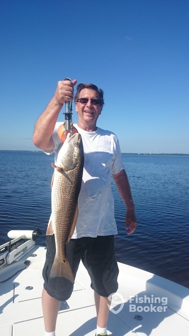 Tampa Report Photo 0