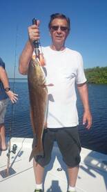 Tampa Report Photo 2