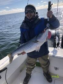 Cold November Morning. 