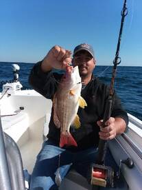 Orange Beach Report Photo 1