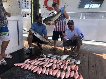 Great Snapper Fishing Action