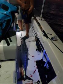 Early morning wahoo before first light