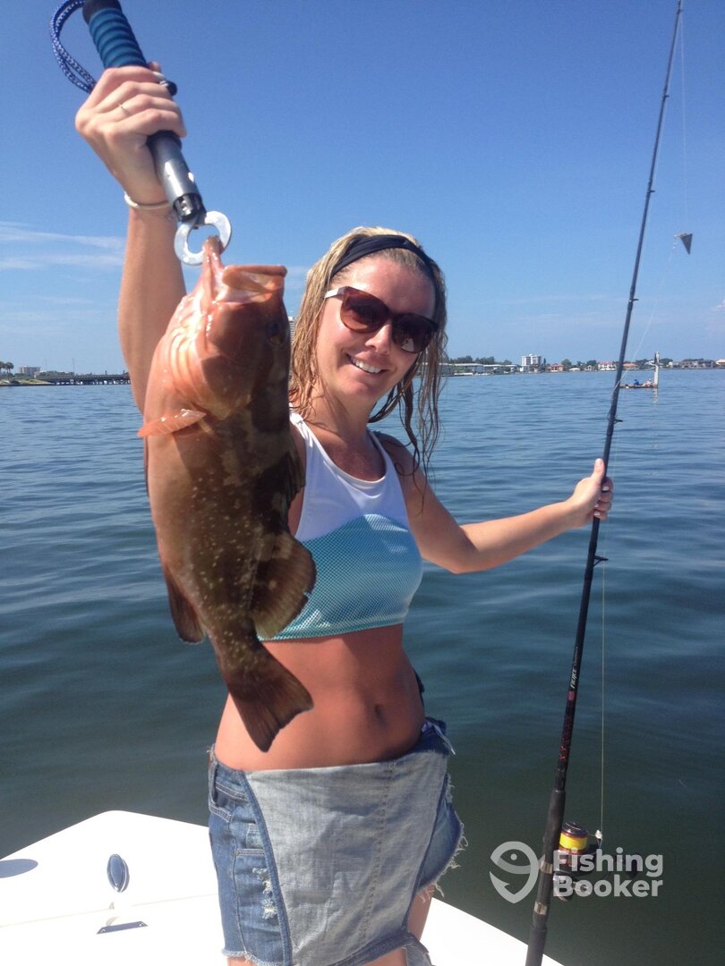 Sarasota Report Photo 0