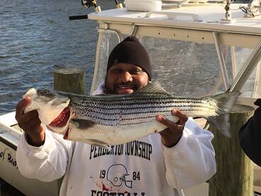 Lacey Township Report Photo 1