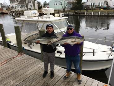 Lacey Township Report Photo 2