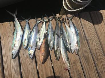 august september and october