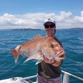 Big bay of islands Snapper