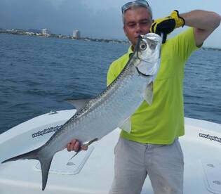 Jacks went to vacation, Tarpon are back!