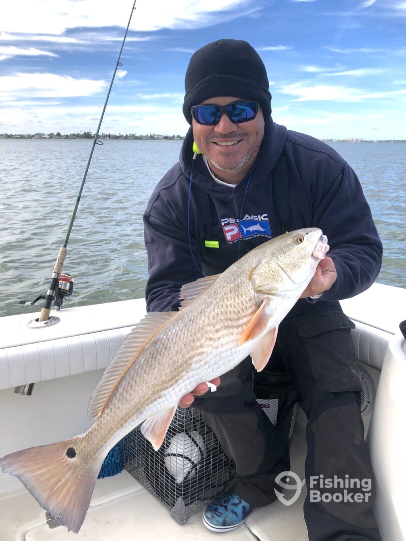Sarasota Report Photo 0