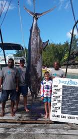 418lbs Blue Marlin with Lucas and Luhan.