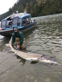 Chilliwack Report Photo 2