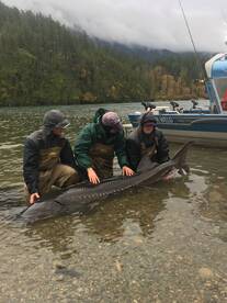 Chilliwack Report Photo 1