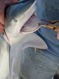 Port Canaveral Report Photo 1