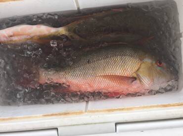 Key Biscayne Report Photo 2