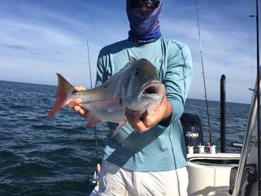 Snapper bite is Red Hot