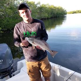 Bonita Springs Report Photo 1