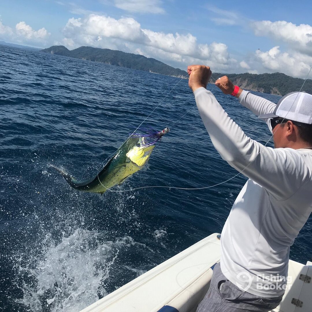 Herradura Report Photo 0