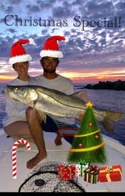 Clearwater Report Photo 2