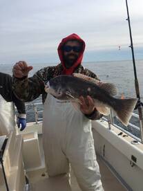 Montauk Report Photo 1