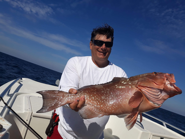 thanksgiving feast with surprise!