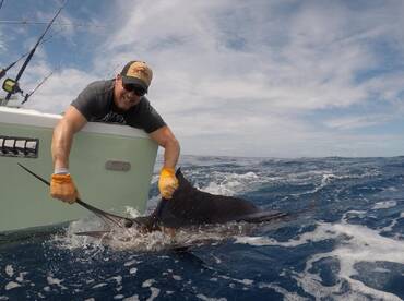 Quepos Report Photo 2