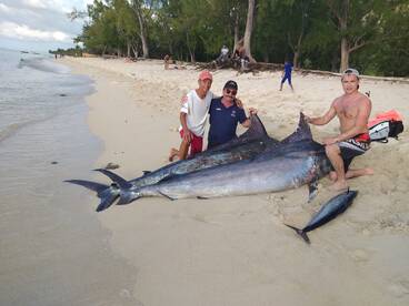 Le Morne Report Photo 1
