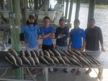 St. Bernard Report Photo 2