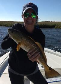 St. Bernard Report Photo 1