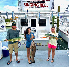 Islamorada Report Photo 2