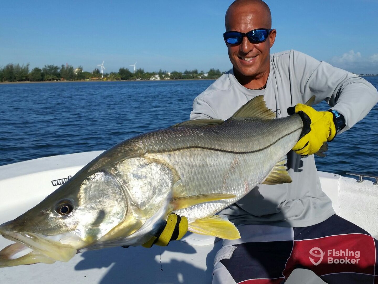 Monster snook fishing in San Juan Bay