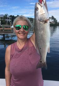Sarasota Report Photo 2