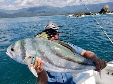 Quepos Report Photo 2