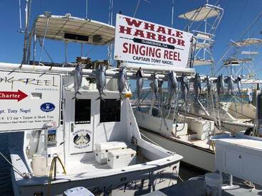 Islamorada Report Photo 1
