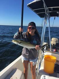 Bay Pines Report Photo 2