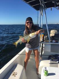 Bay Pines Report Photo 1