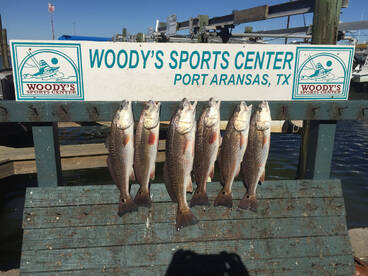 Aransas Pass Report Photo 2