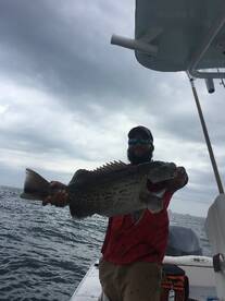 Lighthouse Marina Report Photo 4