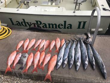 Hollywood Report Photo 1