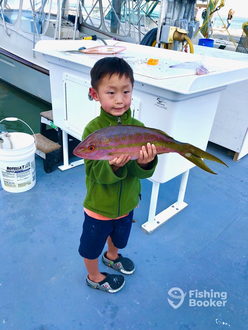 Islamorada Report Photo 0