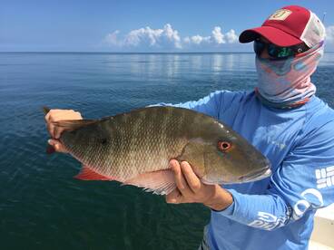 Fishing is still on fire