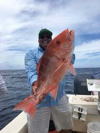 Whale Sharks and cobia 60 lbs and Red Sn