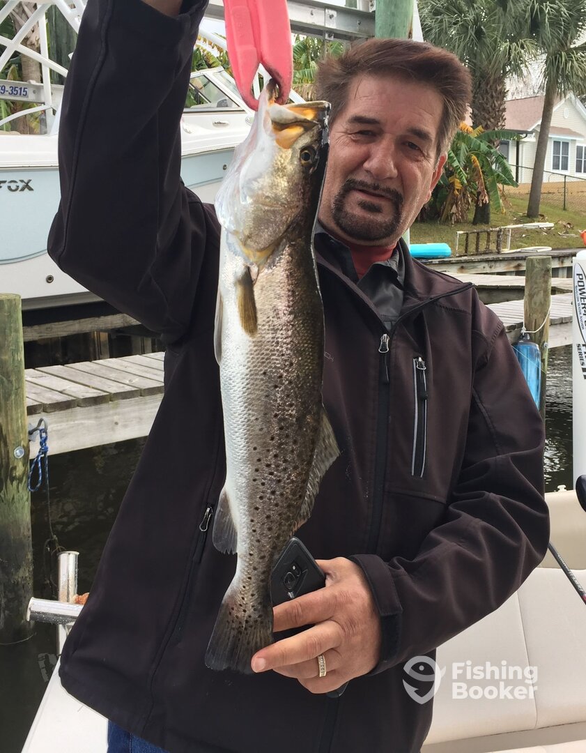 Navarre Report Photo 0