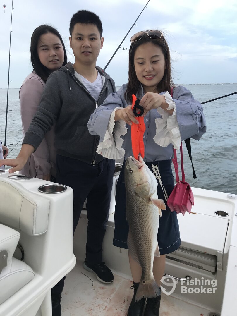 Clearwater Report Photo 0