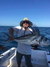 Great rooster fish